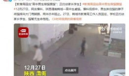 陕西学生爆料视频,陕西学生爆料视频揭露校园现象引发热议